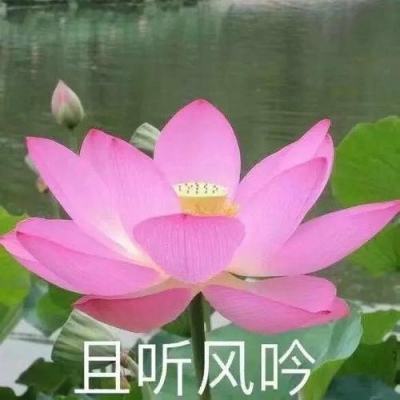 光亚论坛·2024中国（广州）智能集成商大会...